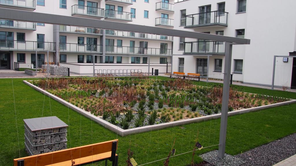 Svoboda Apartament غدانسك المظهر الخارجي الصورة